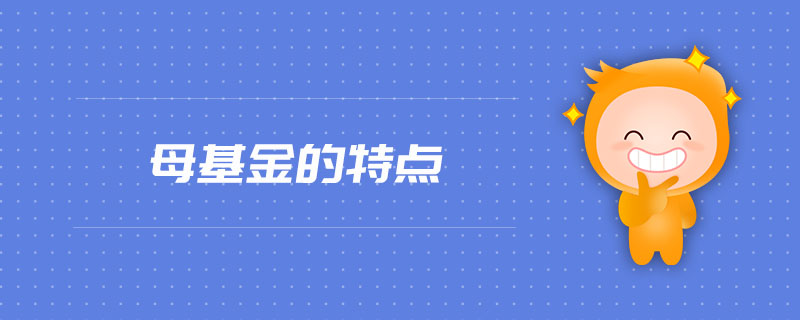 母基金的特點