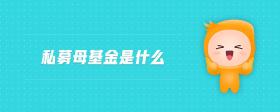 私募母基金是什么