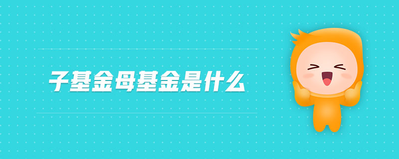 子基金母基金是什么