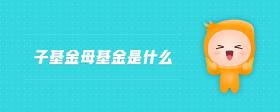 子基金母基金是什么