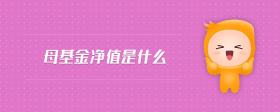母基金凈值是什么