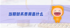 當(dāng)期財(cái)務(wù)費(fèi)用是什么