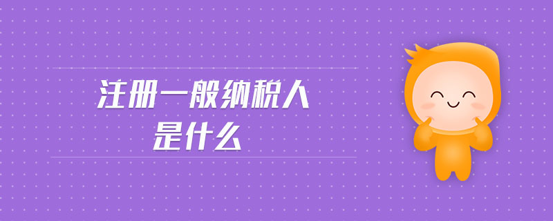注冊一般納稅人是什么