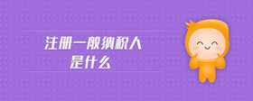 注冊一般納稅人是什么