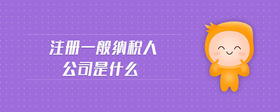注冊一般納稅人公司是什么