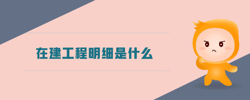 在建工程明細是什么