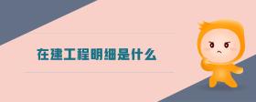在建工程明細(xì)是什么