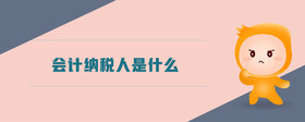 會計納稅人是什么