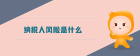 納稅人風(fēng)險是什么
