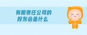 有限責(zé)任公司的股東會(huì)是什么