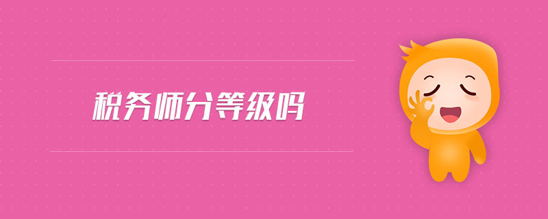 稅務(wù)師分等級嗎