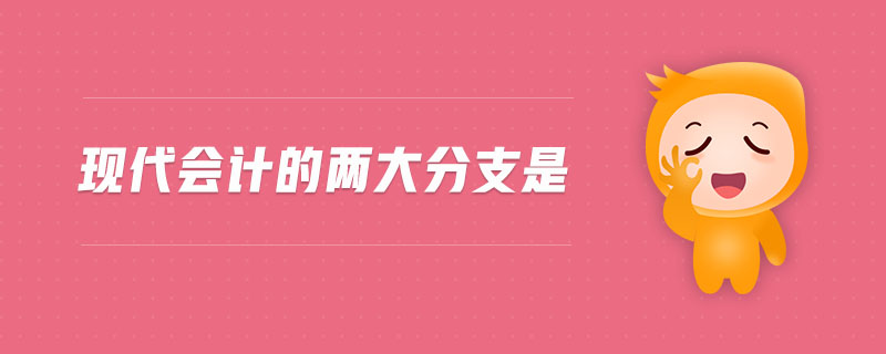 現(xiàn)代會計的兩大分支是
