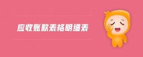 應(yīng)收賬款表格明細(xì)表
