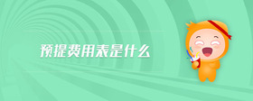 預(yù)提費用表是什么