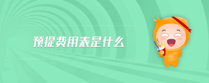 預(yù)提費用表是什么