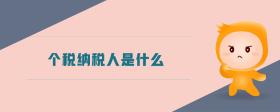 個稅納稅人是什么