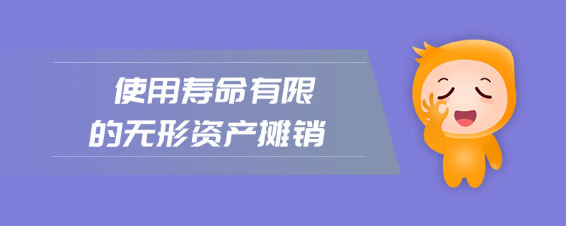 使用壽命有限的無形資產(chǎn)攤銷