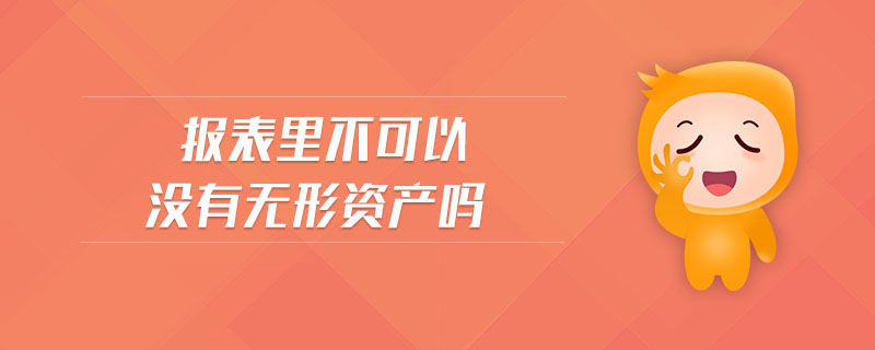 報(bào)表里不可以沒(méi)有無(wú)形資產(chǎn)嗎