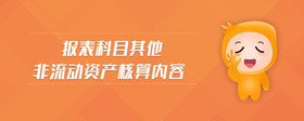 報(bào)表科目其他非流動(dòng)資產(chǎn)核算內(nèi)容