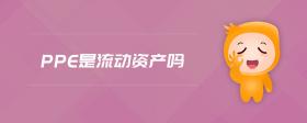 PPE是流動資產(chǎn)嗎