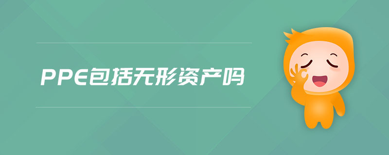 ppe包括無形資產(chǎn)嗎