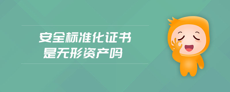安全標準化證書是無形資產嗎
