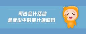 司法會(huì)計(jì)活動(dòng)是訴訟中的審計(jì)活動(dòng)嗎