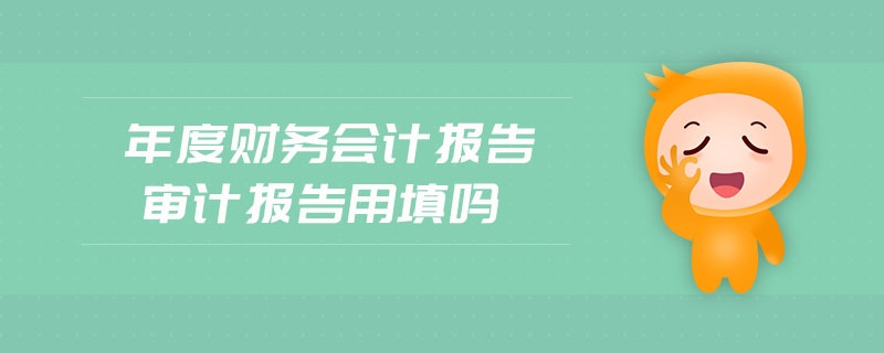 年度財務(wù)會計報告審計報告用填嗎