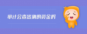 審計會查出納的資金嗎