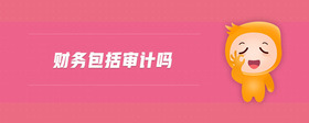 財(cái)務(wù)包括審計(jì)嗎