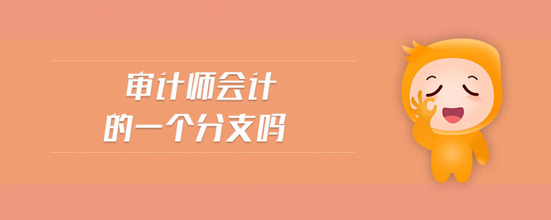 審計師會計的一個分支嗎
