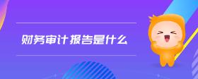 財(cái)務(wù)審計(jì)報(bào)告是什么