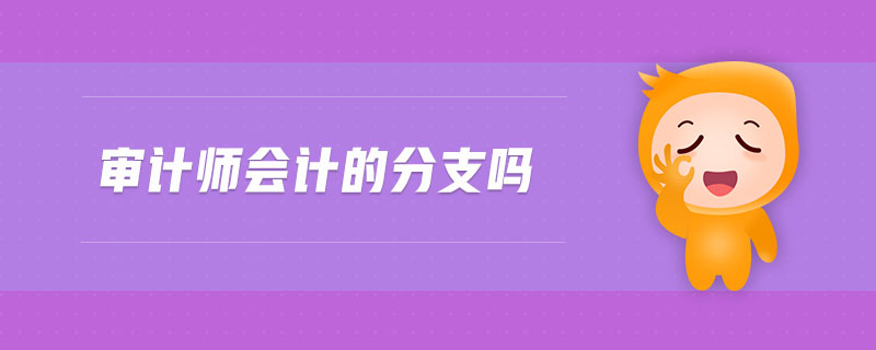 審計師會計的分支嗎