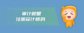 審計(jì)就是注冊(cè)會(huì)計(jì)師嗎