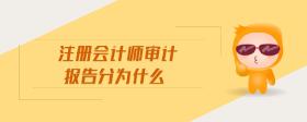 注冊會計師審計報告分為什么