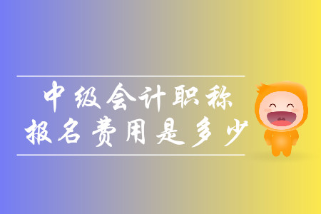 2020年云南玉溪中級會計考試報名費多少錢一科？快看這里！