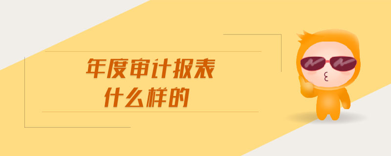 年度審計(jì)報(bào)表什么樣的