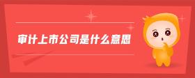 審計上市公司是什么意思
