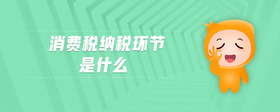 消費稅納稅環(huán)節(jié)是什么