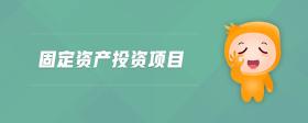固定資產(chǎn)投資項(xiàng)目