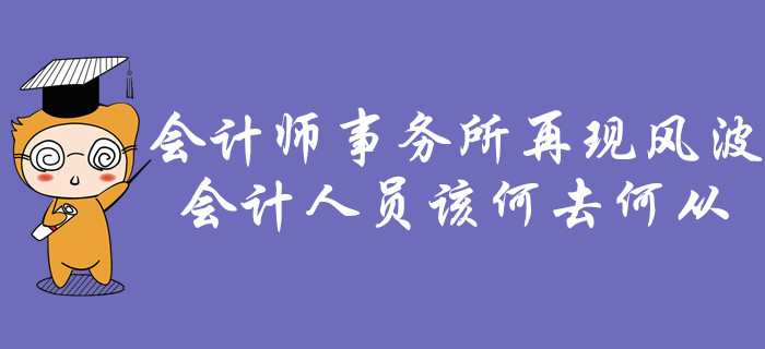會(huì)計(jì)師事務(wù)所再現(xiàn)風(fēng)波，會(huì)計(jì)人員該何去何從？