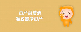 資產(chǎn)負債表怎么看凈資產(chǎn)