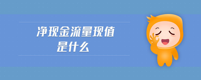 凈現(xiàn)金流量現(xiàn)值是什么