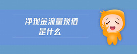 凈現(xiàn)金流量現(xiàn)值是什么