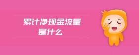 累計(jì)凈現(xiàn)金流量是什么
