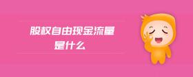 股權(quán)自由現(xiàn)金流量是什么