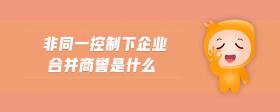 非同一控制下企業(yè)合并商譽(yù)是什么