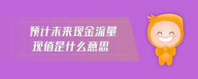 預(yù)計未來現(xiàn)金流量現(xiàn)值是什么意思