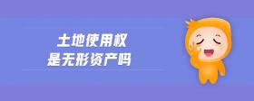 土地使用權(quán)是無形資產(chǎn)嗎