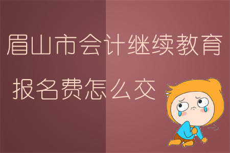 2019年四川省眉山市會計(jì)繼續(xù)教育報(bào)名費(fèi)怎么交？